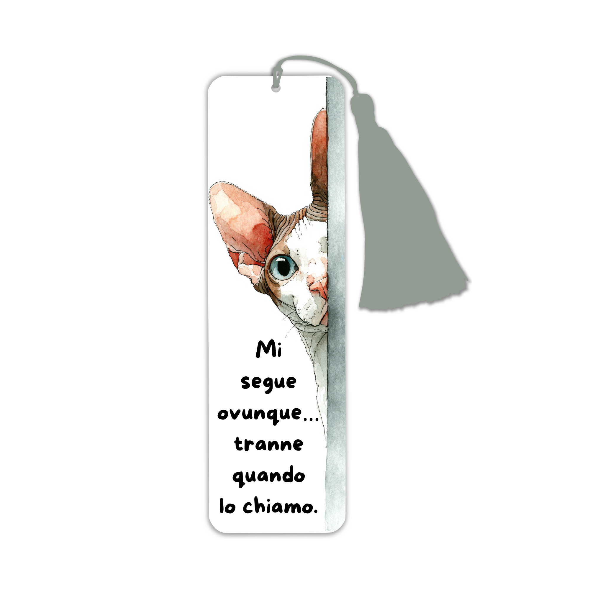 Segnalibro con frase "Mi segue ovunque… tranne quando lo chiamo"